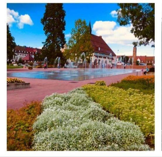 Appartement Lieblingsort à Freudenstadt Extérieur photo